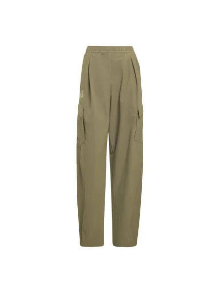 ADIDAS TERREX Hlače za vanjske uvjete zelena