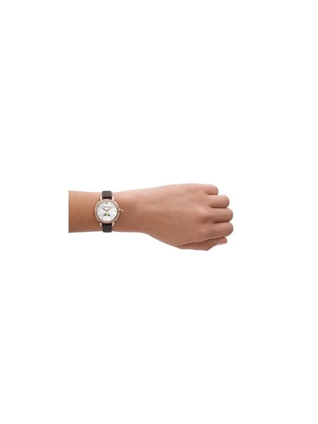 Satovi Emporio Armani smeđa