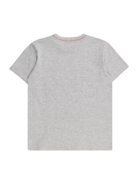 Guess Marškinėliai Pilka Regular Fit balta