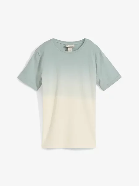 T-shirt w cieniowanym kolorze zielona