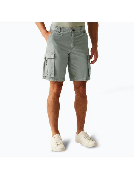 Pantaloni scurți de trekking pentru bărbați REGATTA Shorebay II furtună gri