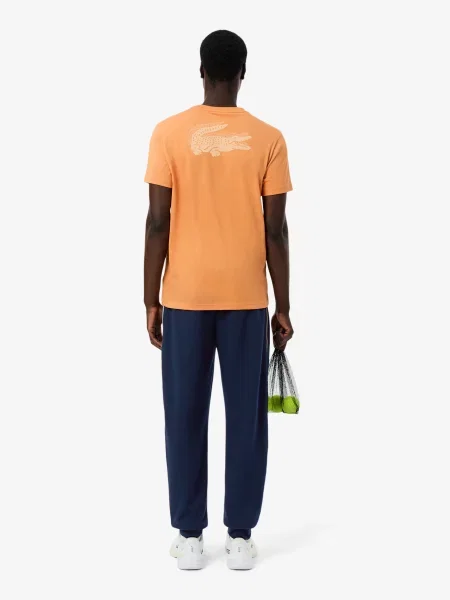 Спортивные штаны Lacoste серые