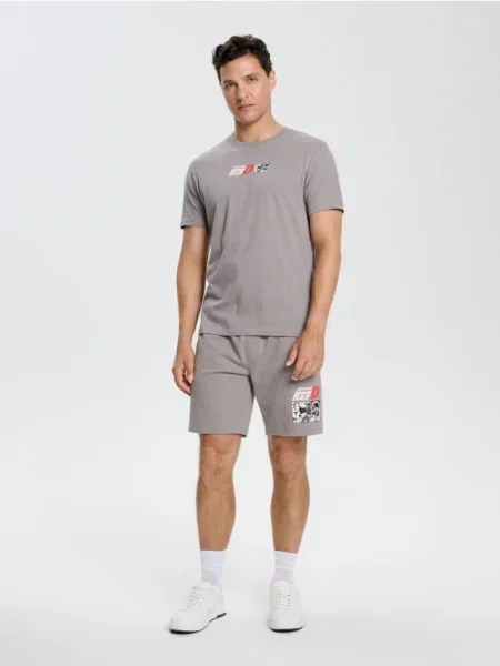 Sinsay Tričko s potiskem Initial D Elyaf šedá