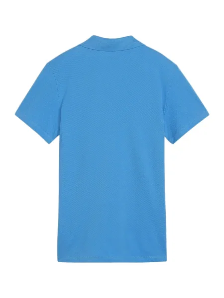 PUMA Tricou funcțional TeamGoal albastru alb