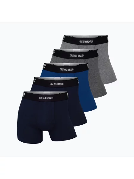 Boxeri pentru bărbați Basic Trunk 5 pairs multicolour