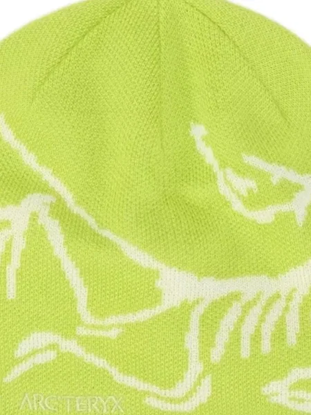 Căciulă Arc'teryx verde