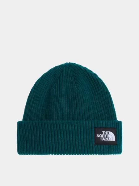 The North Face SALTY LINED BEANIE Шапка Унісекс зелений
