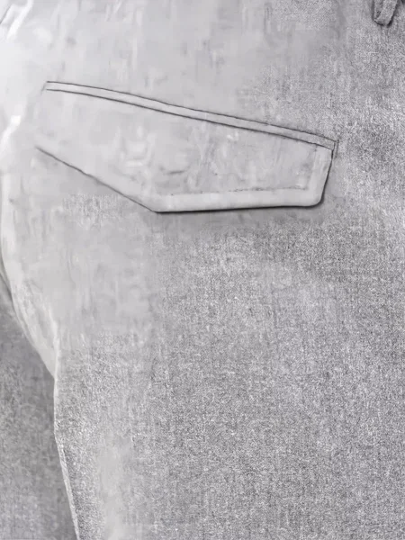 Pantaloni Peserico cu cordon gri