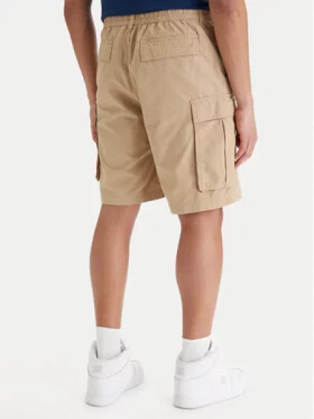 DC Shoes Kratke hlače iz tkanine Tundra bež