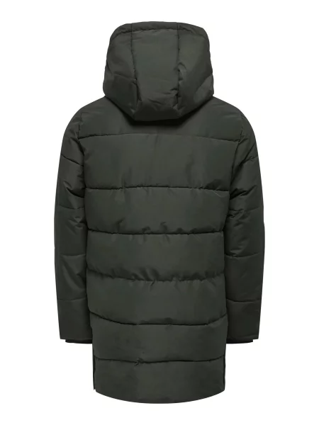 Only & Sons Prehoden plašč CARL temno zelena