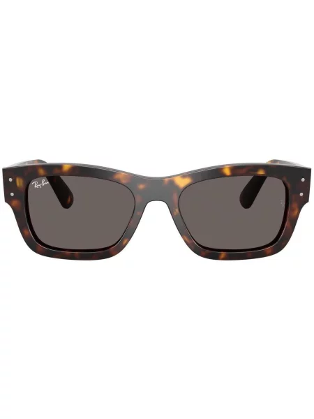 Ray-Ban Slnečné okuliare Hnedá čierna