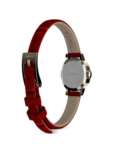 Ceas Timex