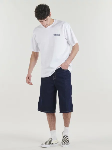 Pantaloni Dickies albastru