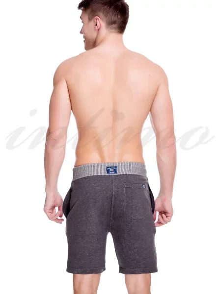 Шорты Scuola Nautica Costumi серые
