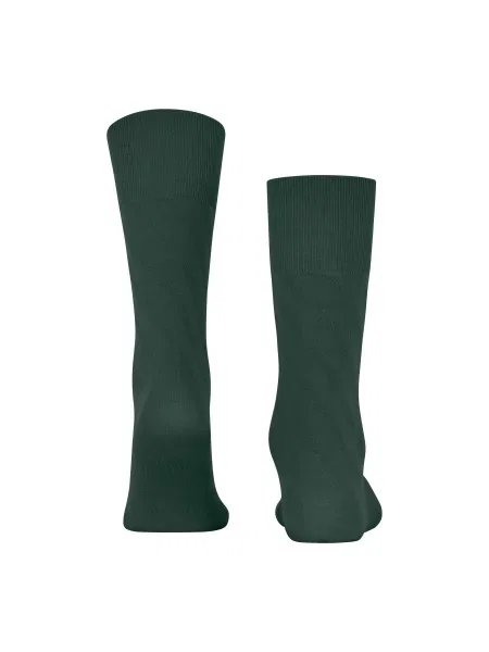 Skarpety Falke ClimaWool Special Edition zielone