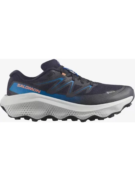 Buty do biegania Salomon Ultra Flow 2 GORE-TEX czarny elektryczny niebieski 40 biały