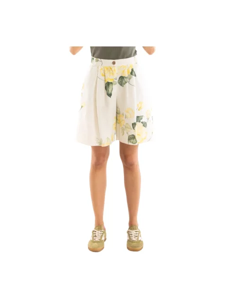 Wielobarwność bermudy 5progress