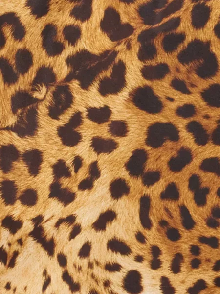 Leopárdmintás fürdőruha Roberto Cavalli nyomtatás sárga