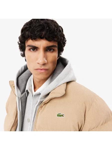 Lacoste Pikowana Kurtka Z Sztruksu brązowa