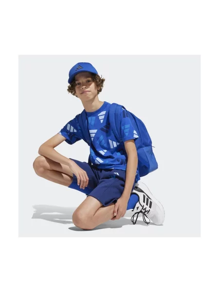 Tričko Adidas modrá