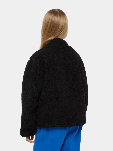 Дитяча Флісова кофта Dickies Mount Hope Fleece чорний