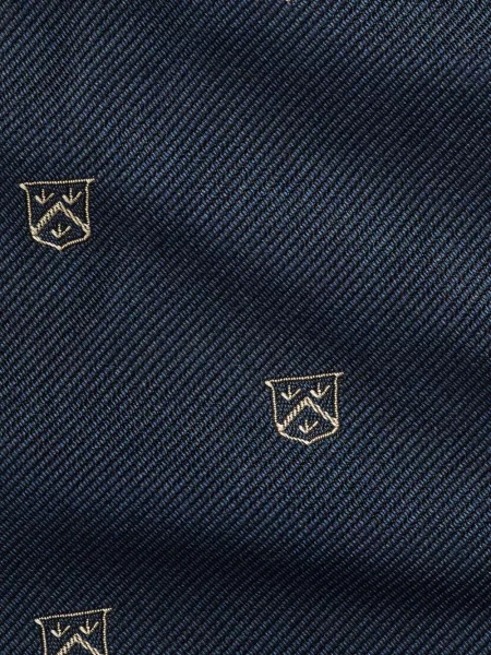 Slip de baie Polo Ralph Lauren cu broderie din piele de căprioară în carouri albastru