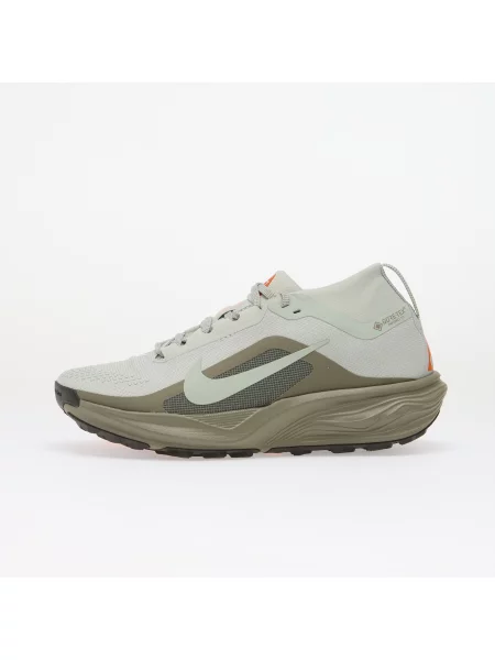 Sneakers NIke ACG Pegasus Trail GORE-TEX Light Silver/ Light Silver-Light Army EUR 40