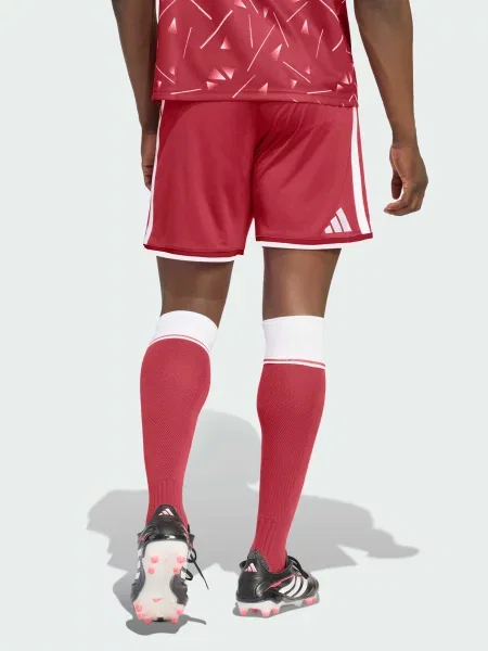 Спортивные шорты Adidas