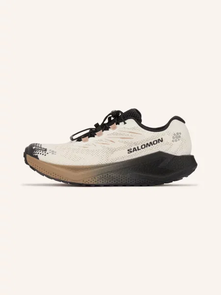 Salomon Běžecké Trailové Boty Aero Blaze 4 Grvl Gtx krémová / světle hnědá černá