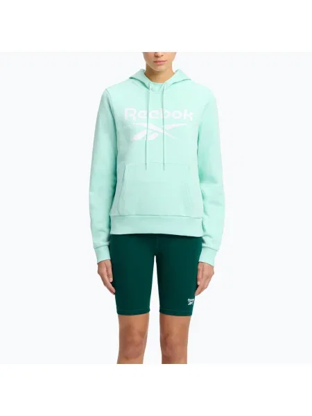 Дамски суитшърт Reebok Identity Big Logo Fleece glitch aqua зелено