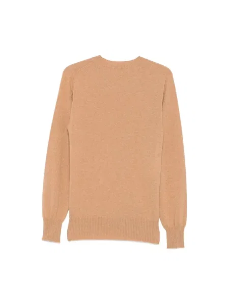 Sweter Alberta Ferretti brązowy