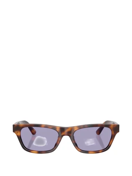 Ochelari de soare Polo Ralph Lauren Eyewear maro