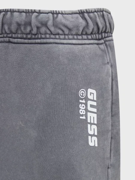 Спортивні штани GUESS сірий