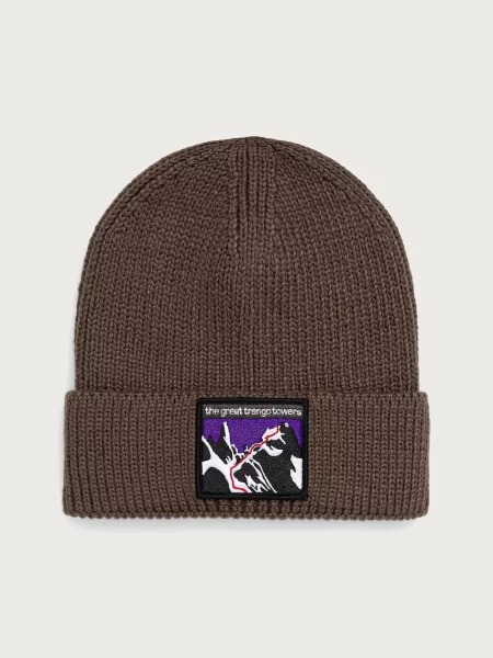 The North Face beanie kapa TNF Logo Box siva