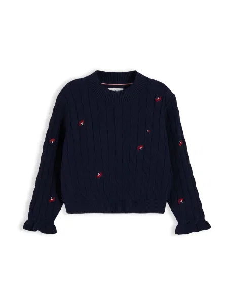 TOMMY HILFIGER Pulover bleumarin / roşu închis / murdar alb