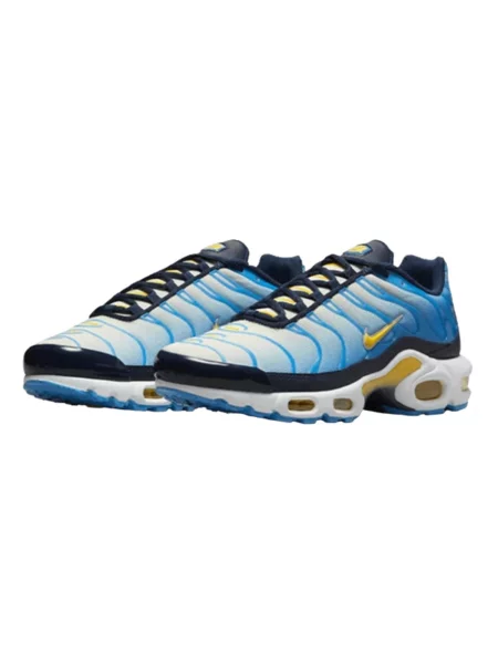 Tenisky Nike Air Max Plus modrá