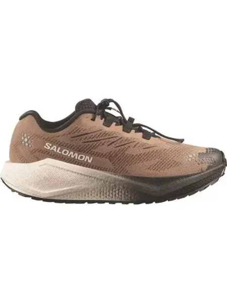 Buty do biegania Salomon Aero Blaze 4 GRVL brązowe