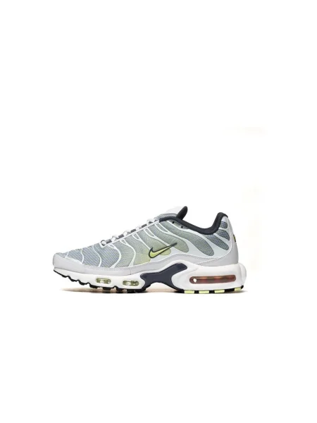 Tenisky Nike Air Max Plus sivá
