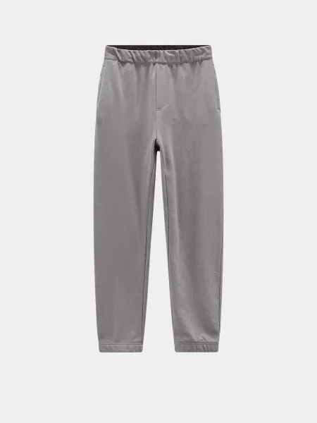 Спортивні штани CMP сірий