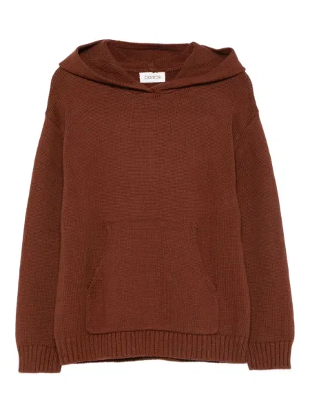 Sweter dziecięcy Laneus brązowy
