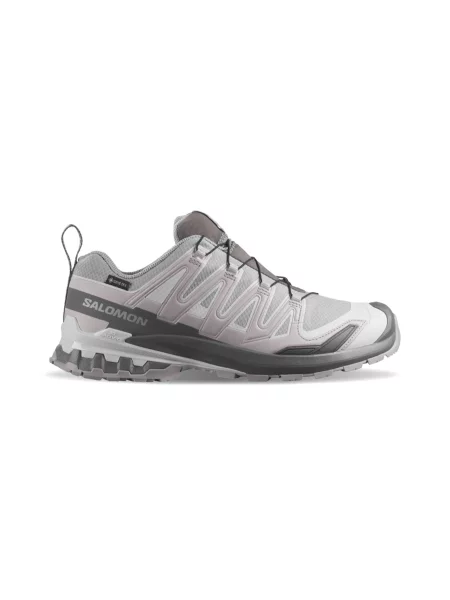 Salomon Xa Pro 3D V9 Gtx Alloy Castlerock Mężczyźni Buty sportowe Salomon Size: szary