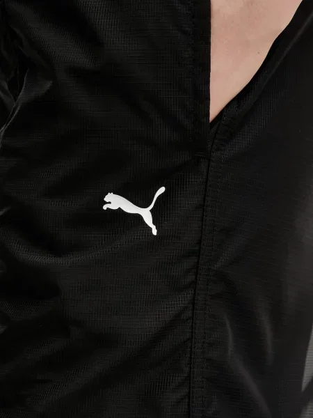 Спортивные штаны Puma