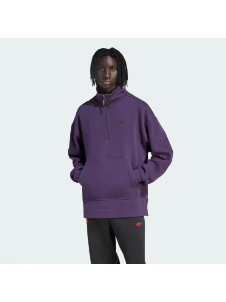 BLUZA ALTERNATIVE SPORT HALF ZIP GRAPHIC FLEECE