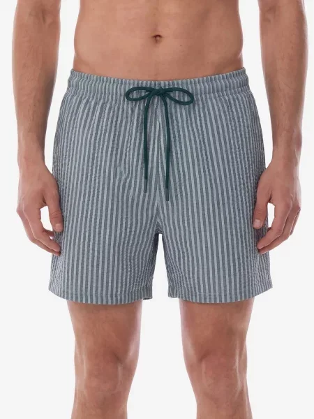 Penti Plavecké šortky PENTI Herren Tissue-gestreifte Shorts' šedá