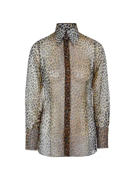 Top D&g maro