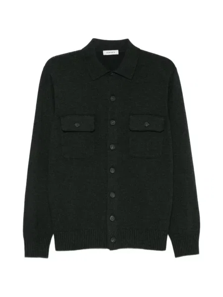Cardigan Kangra verde