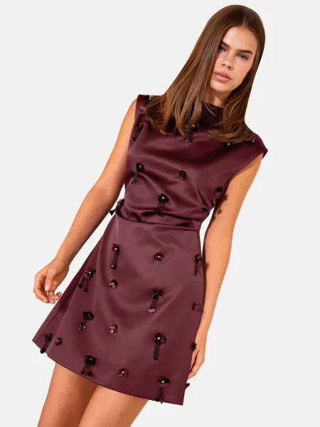 Friends Like These Rochie vin / transparent roșu