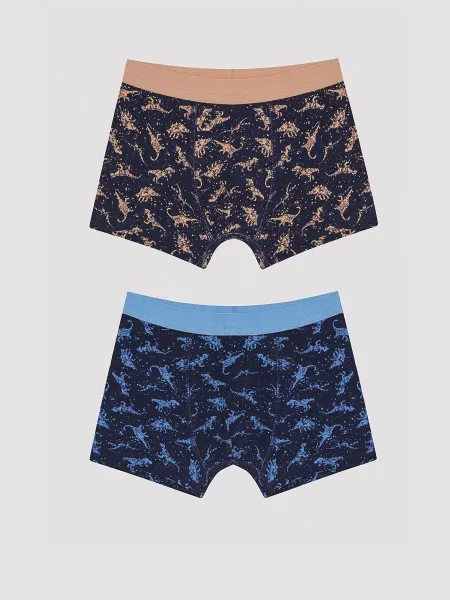 Дитячий Набір трусів Penti синій