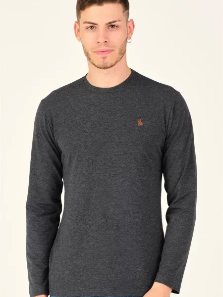 Тениска с дълъг ръкав Dewberry сиво