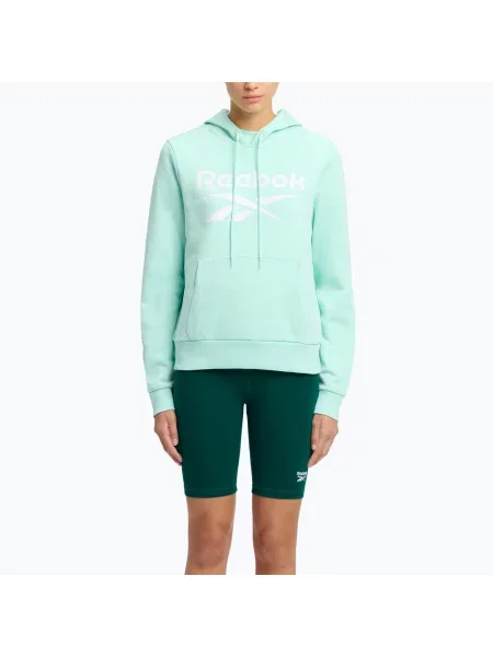 Bluza Reebok Identity Big Logo Fleece glitch aqua zielony